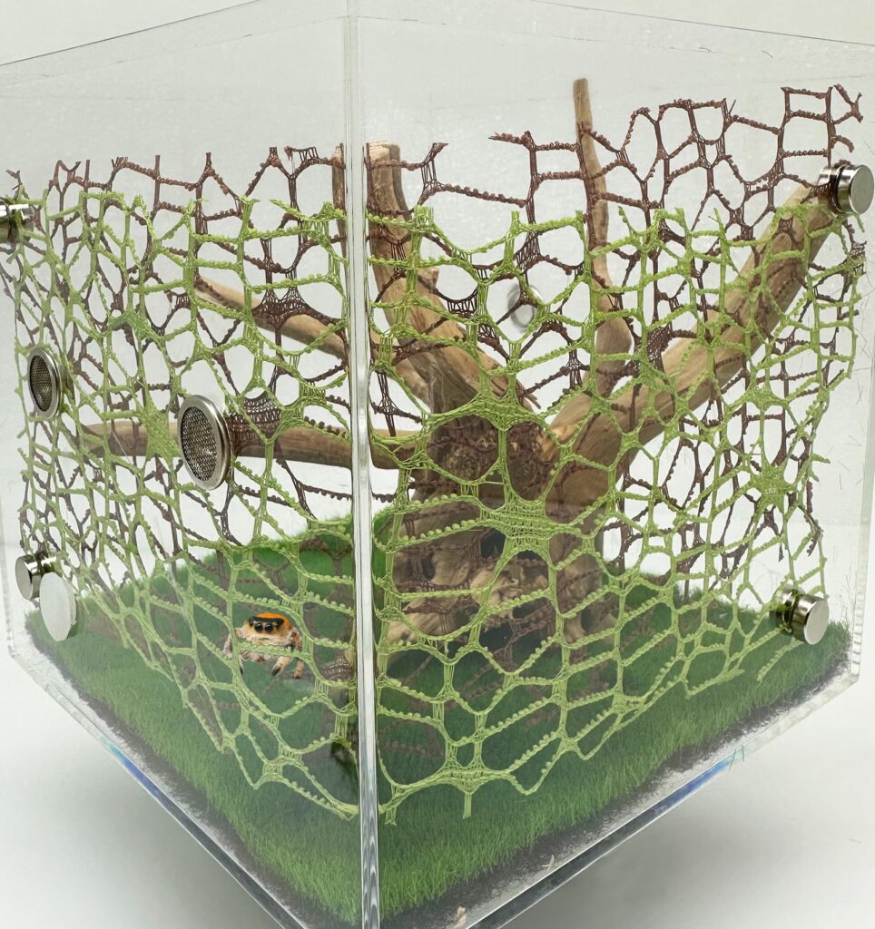 accesorios araña saltarina